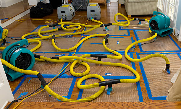 Professional Crawl Space Water Removal technician working in Fulton, TX